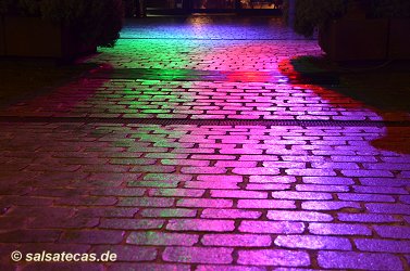 Salsa K&ouml;ln: Wartesaal Zollhafen